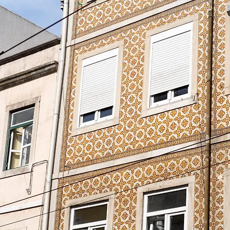 Akicity Anjos Blossom